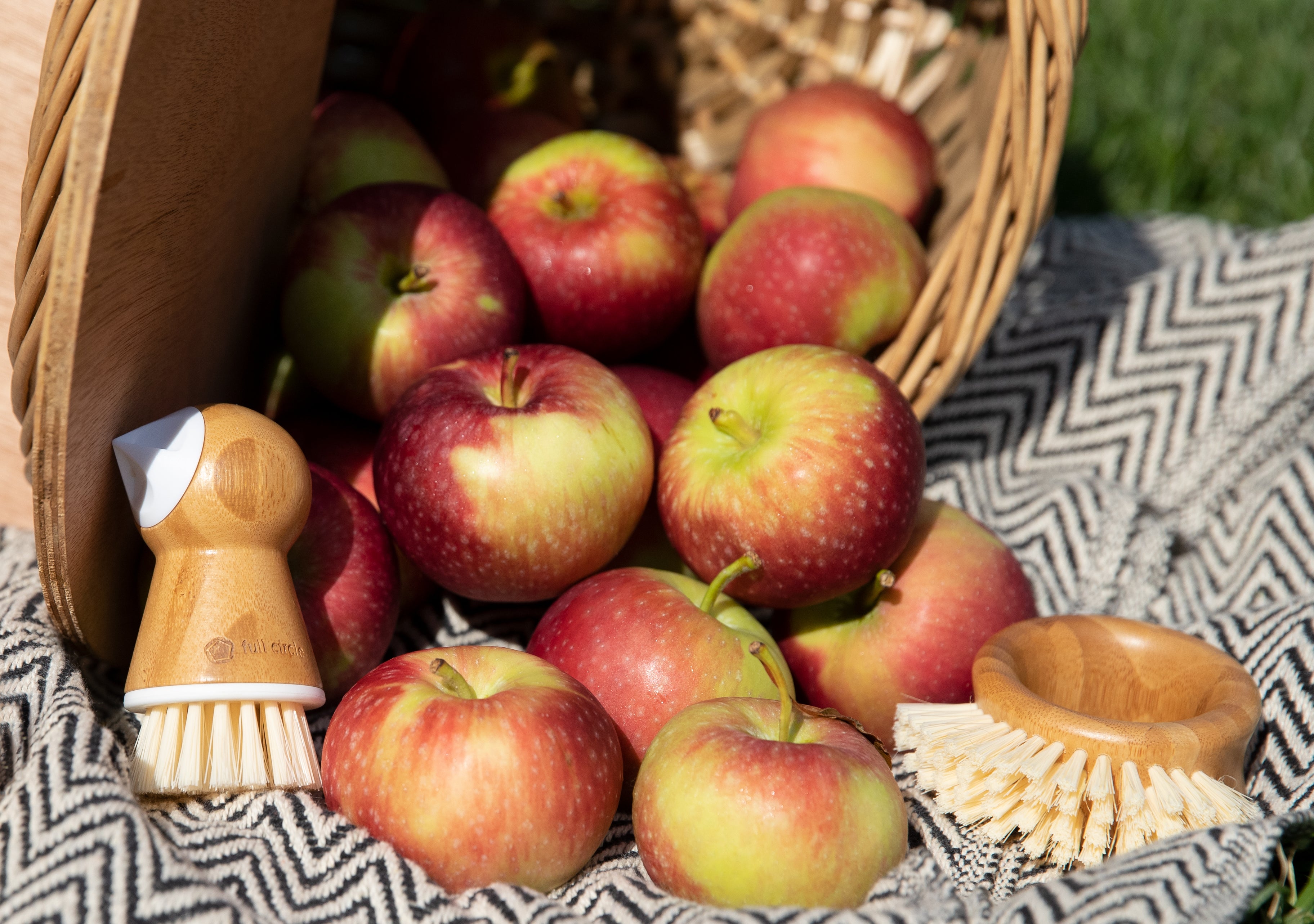 Brossettes, éponges, grattoirs