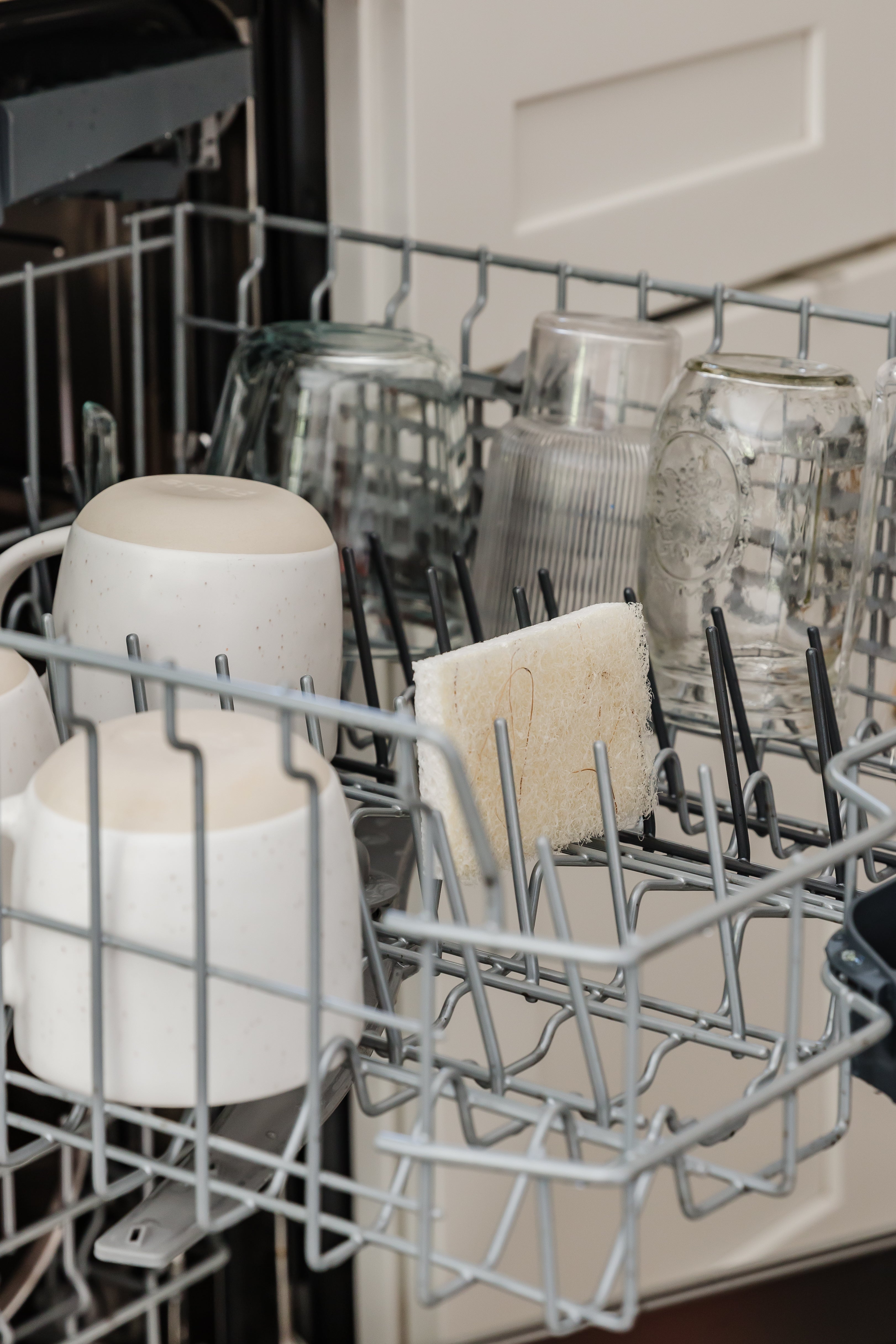 Cleana Colada - Lot de 2 éponges végétales